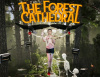 Превью изображения 0: The Forest Cathedral
