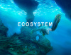Превью изображения 0: Ecosystem