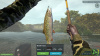 Превью изображения 4: Ultimate Fishing Simulator - Taupo Lake