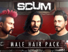 Превью изображения 0: SCUM Male Hair Pack